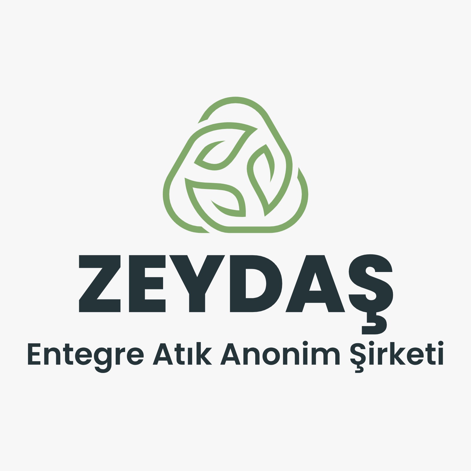 ZEYDAŞ Logo
